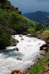 Turgen gorge.