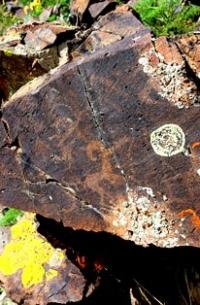 The rock art site of Akterek.