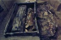 Archeological finds on the Berel barrow. The photo from the book "Ancient History of Kazakhstan".
