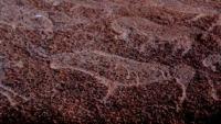 Rock paintings of the Terekty.