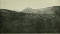 The Tien-Shan Plateau with a group of tents near Lake Issyk-Kul. Photo by Ellsworth Huntington, 1903.