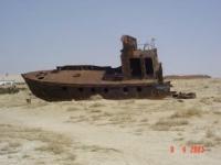 Environs of the North Aral Sea.