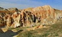 Clay Hills Ashutas