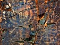 The Petroglyphs of Tamgaly (Tanbaly).