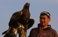Demonstration hunting with golden eagle in Kazakhstan.