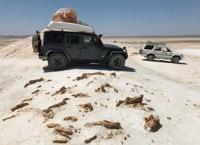 Takyr soil of Central Asia.