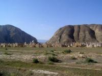 In Kyrgyzstan.