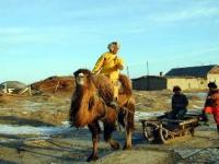 Winter transport of the Aral fishermen.