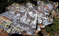 Sauiskandyk petroglyphs.