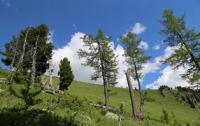 Nature sights of the Turgusun Valley.