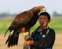 Demonstration hunting with golden eagle in Kazakhstan.