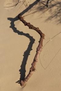 The soils of Central Asia.