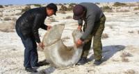 Millstones in steppe.
