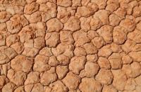 The soils of Central Asia.
