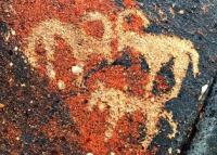 Rock paintings of Zheltau.