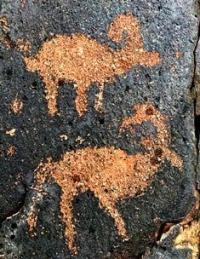 Rock paintings of Zheltau.