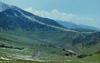 Kind on a vicinity of natural boundary Chonkurchak.