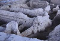 Settlement Sarazm in vicinities Pendjikent.