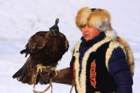 Показательная охота с беркутом в Казахстане.