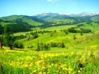 Kind from pass Ozernyi.
