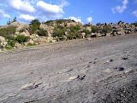 Plateau of Dinosaurs in Kugutang mountains.