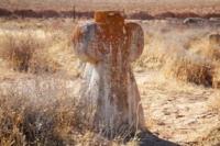 Окрестности урочища Гозли-ата.