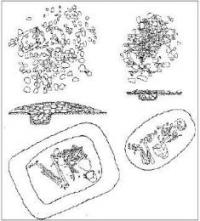 Plan of the settlement of Hapuz.