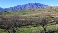Ugam ridge.