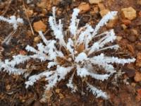 In the winter.